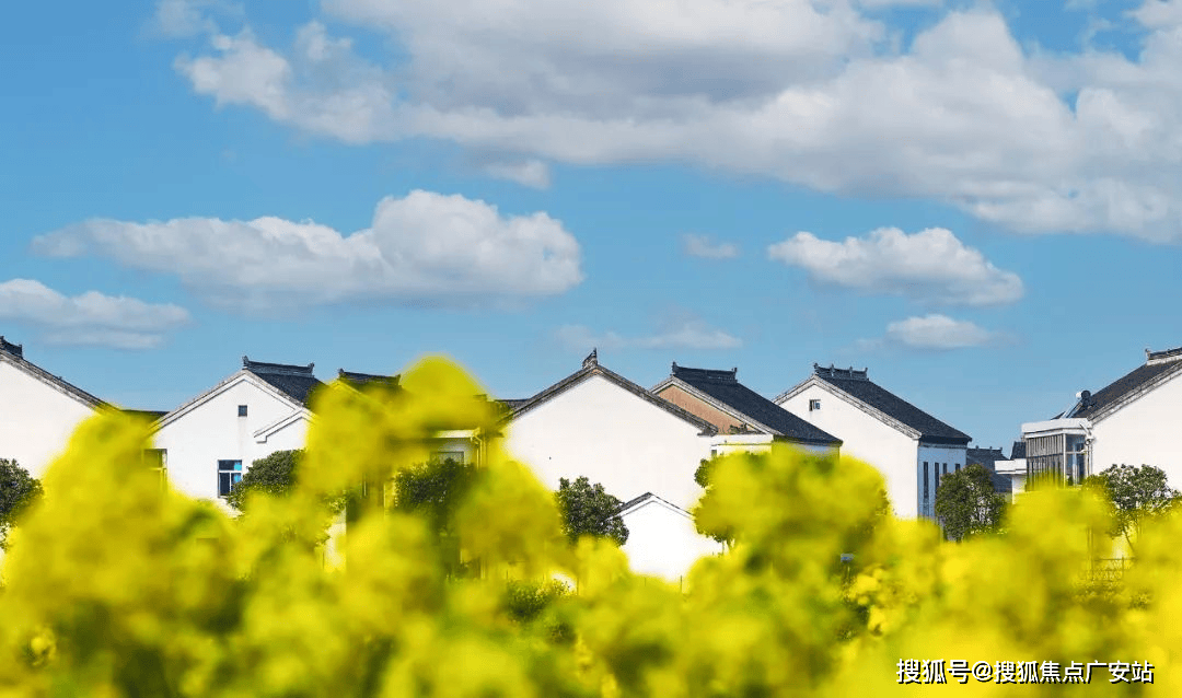 24楼盘评测_望湖玫瑰园｜最新价格｜配套户型J9九游会望湖玫瑰园(苏州)首页网站-20(图4)