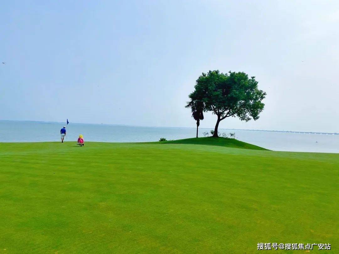24楼盘评测_望湖玫瑰园｜最新价格｜配套户型J9九游会望湖玫瑰园(苏州)首页网站-20(图16)
